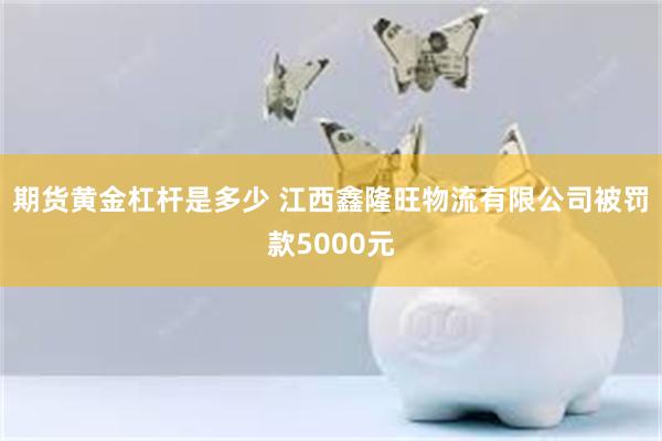 期货黄金杠杆是多少 江西鑫隆旺物流有限公司被罚款5000元