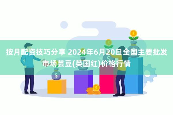 按月配资技巧分享 2024年6月20日全国主要批发市场芸豆(英国红)价格行情