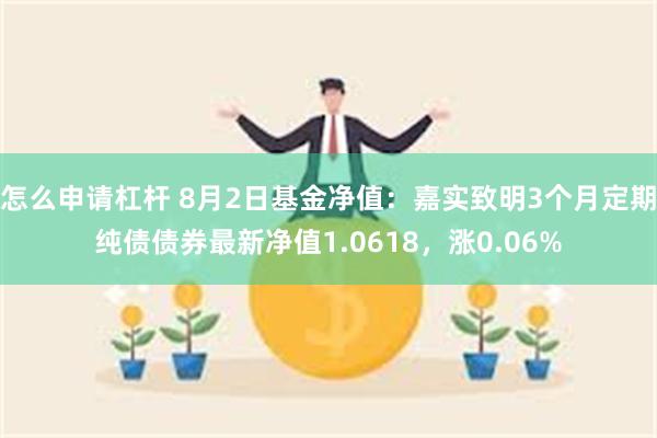 怎么申请杠杆 8月2日基金净值：嘉实致明3个月定期纯债债券最新净值1.0618，涨0.06%