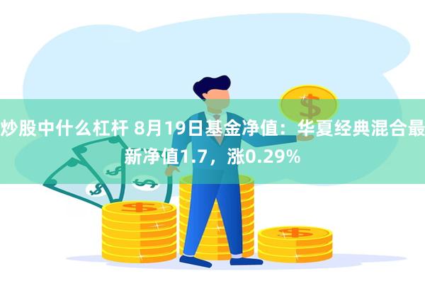 炒股中什么杠杆 8月19日基金净值：华夏经典混合最新净值1.7，涨0.29%