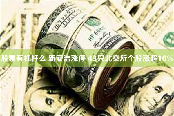 股票有杠杆么 新安洁涨停 43只北交所个股涨超10%