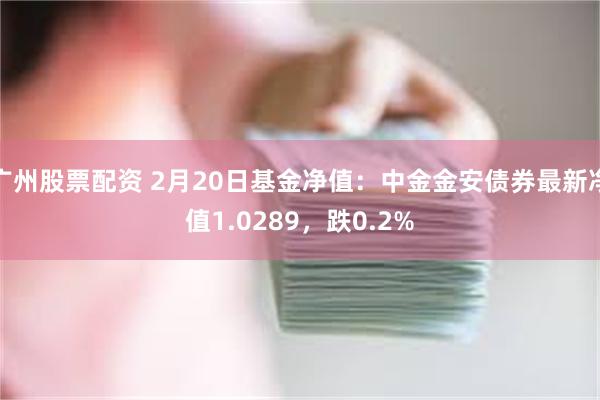 广州股票配资 2月20日基金净值：中金金安债券最新净值1.0289，跌0.2%